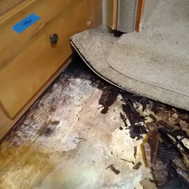 Wood Floor Water Damage in Jo Daviess County, IL